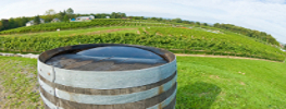 vai alla pagina Strada dei Vini