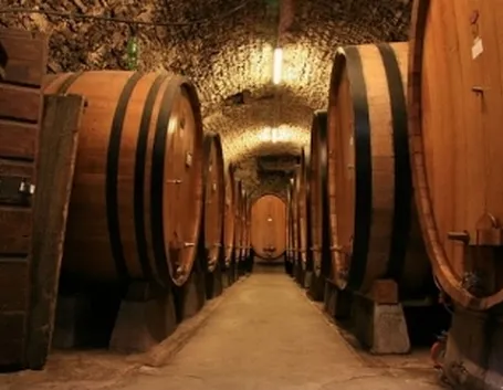 cantina sociale
