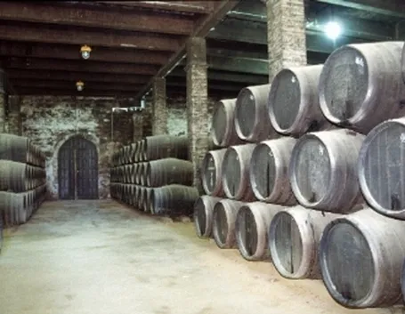 modelli di cantina