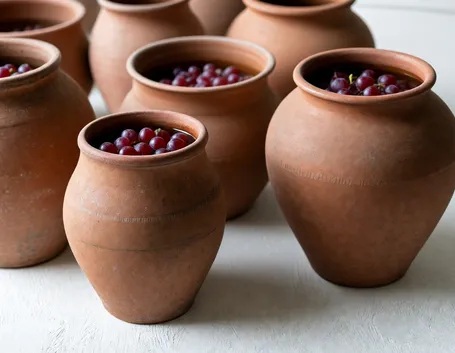 fermentazione vino rosso