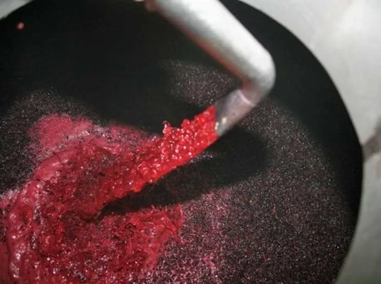 fermentazione vino rosso