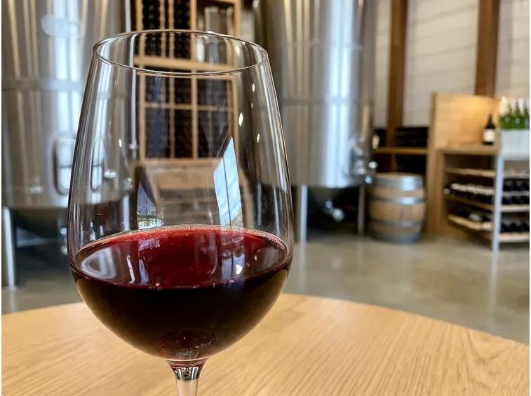 Caratteristiche del vino novello