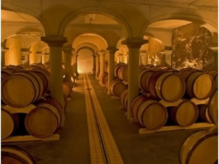 vinificazione in bianco
