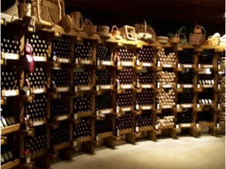 caratteristiche cantina