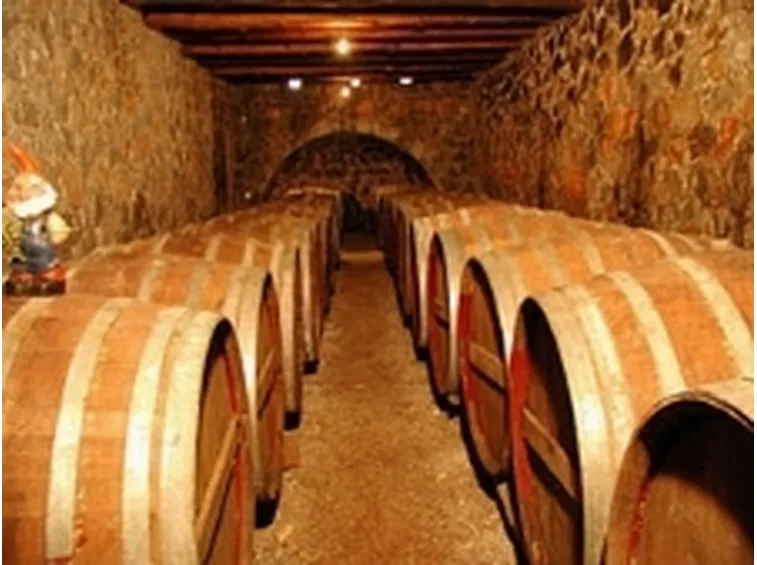 caratteristiche cantina