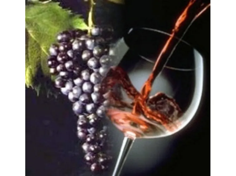 bottiglia vino da tavola