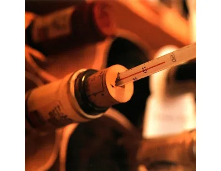 bicchieri vino