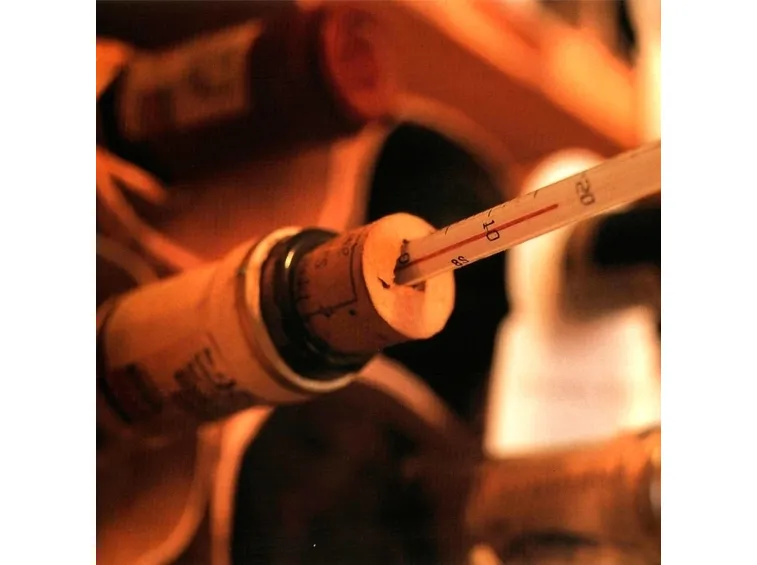 bicchieri vino
