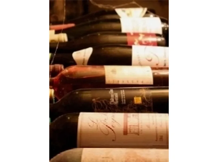 bottiglie vino rosso in cantina