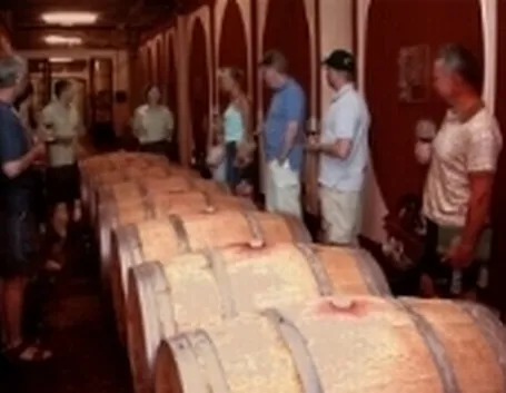 degustazione vino
