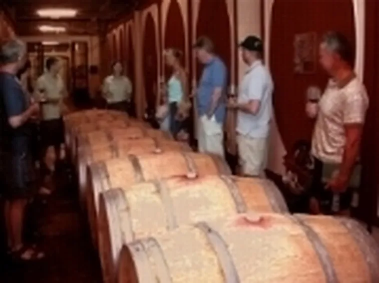 degustazione vino