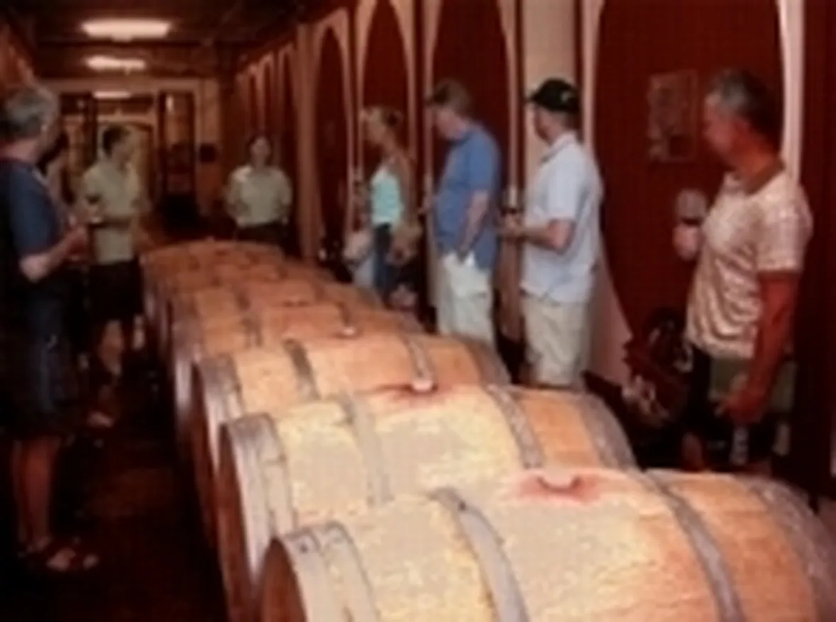 degustazione vino
