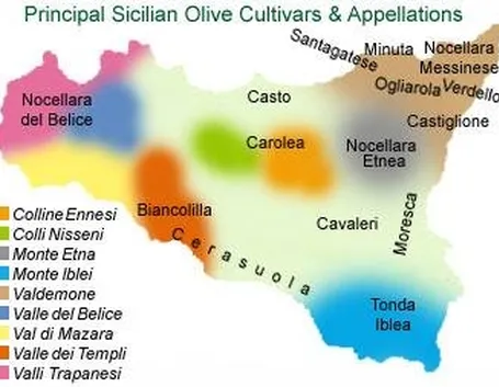 la mappa dop