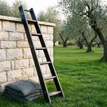 Perché dopo la raccolta viene voglia di potare subito