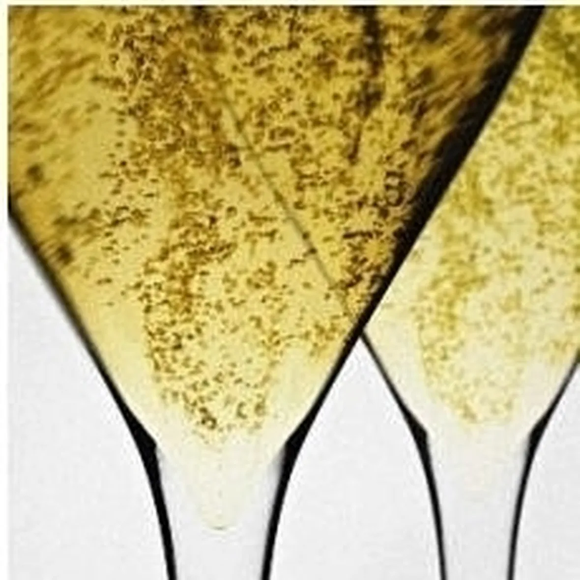 bollicine 