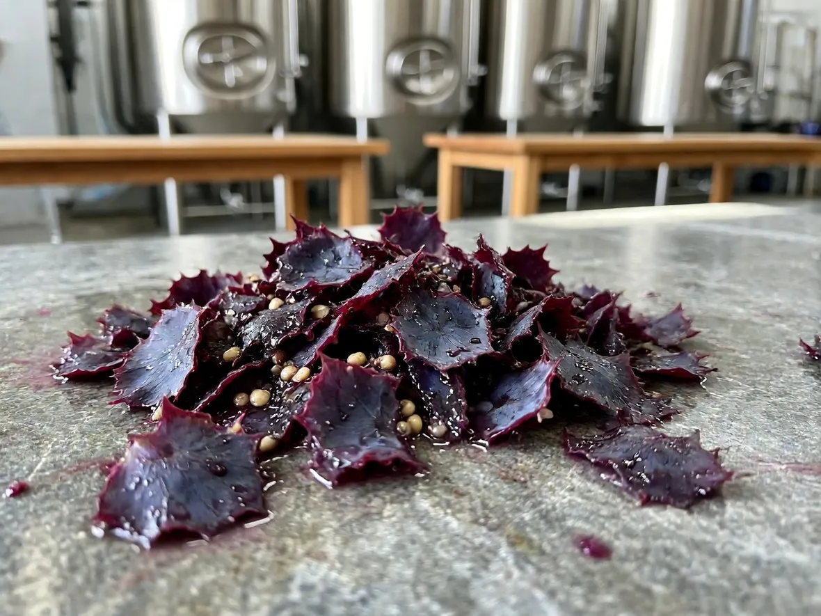 Cosa resta nel torchio: vinacce fermentate, vergini e semi-vergini