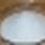 Zucchero uva