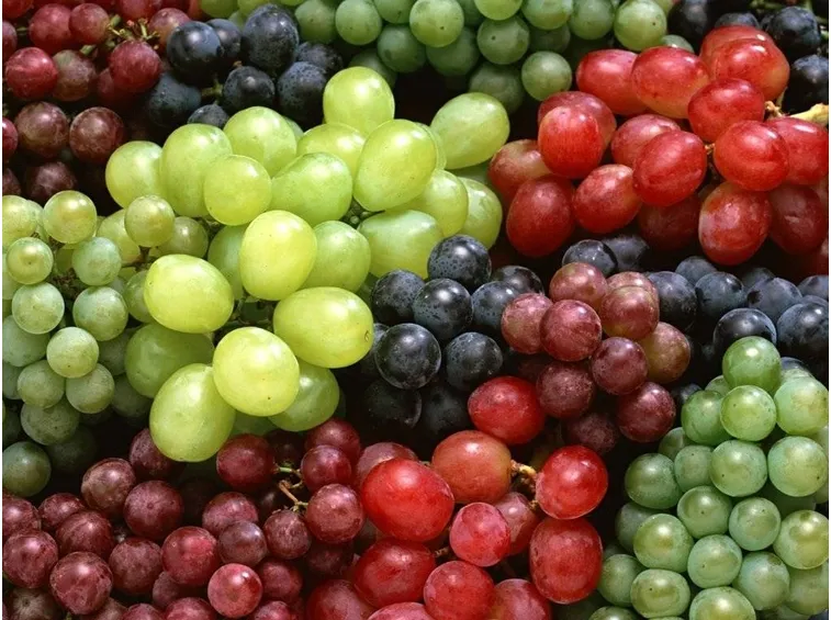 grappoli