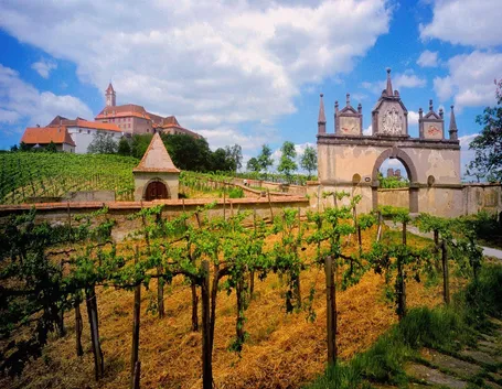 vigneti e casa vinicola