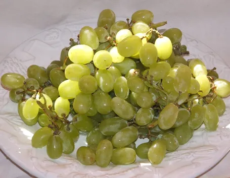 Uva apirene