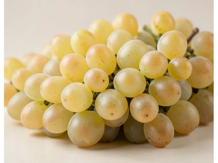 Vernaccia di Oristano