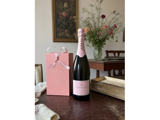 vendita champagne
