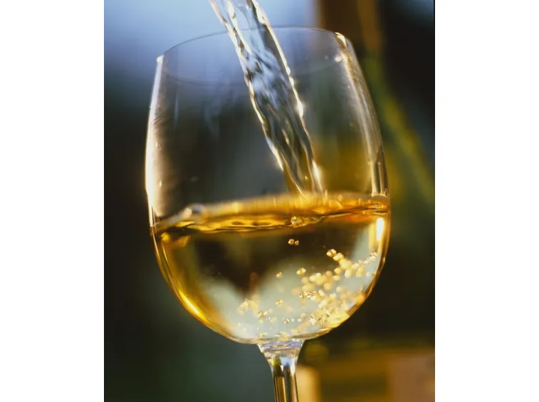 vino bianco