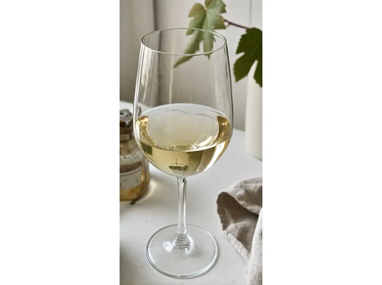 vino bianco abruzzo