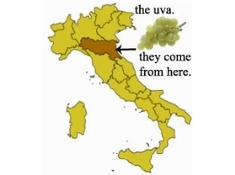 vino bianco emilia romagna
