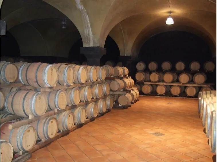 vino bianco friuli venezia giulia