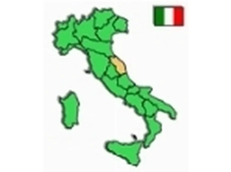 vino bianco marche