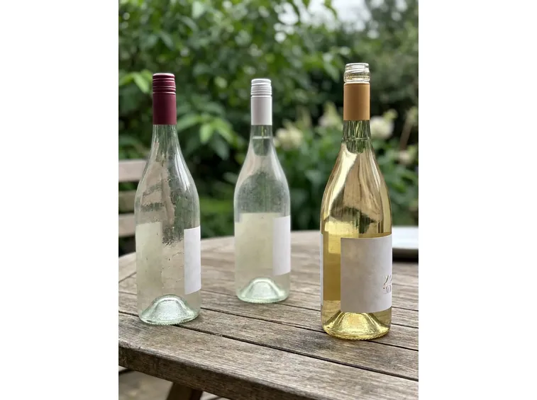 vino bianco sicilia