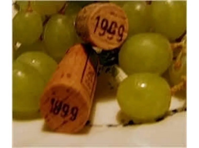 vino bianco valle d'aosta