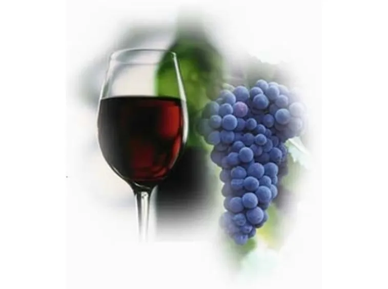 vino rosso abruzzo