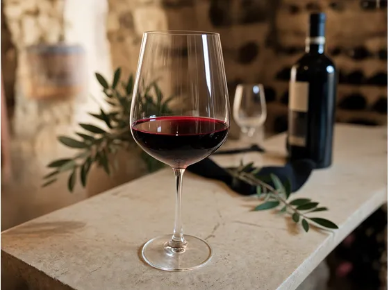 Cos'è il Valpolicella Ripasso: territorio, uve e disciplinare