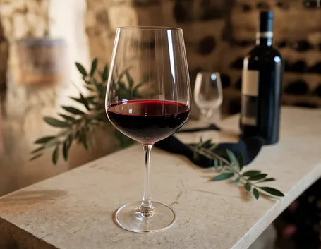 Cos'è il Valpolicella Ripasso: territorio, uve e disciplinare