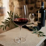 Cos'è il Valpolicella Ripasso: territorio, uve e disciplinare