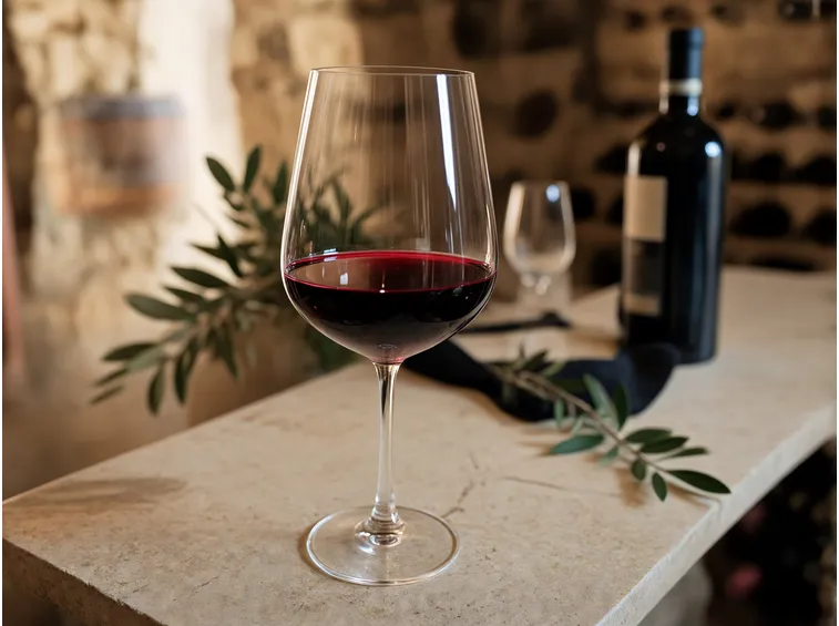 Cos'è il Valpolicella Ripasso: territorio, uve e disciplinare
