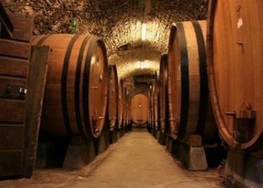 Cantina sociale caratteristiche cantina Aprire una cantina
