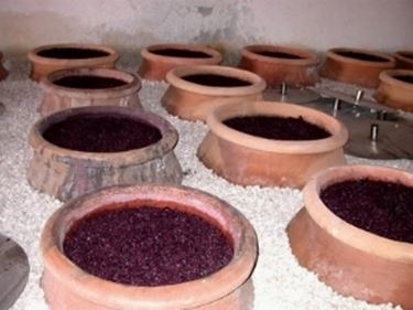 fermentazione vino rosso