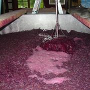 fermentazione vino