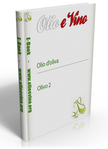 Olivo 2