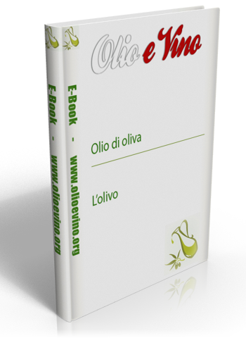 Olivo