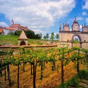 vigneti e casa vinicola