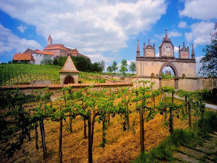 vigneti e casa vinicola