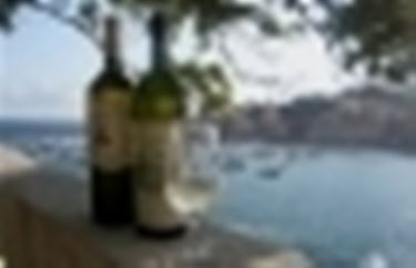 vermentino ligure