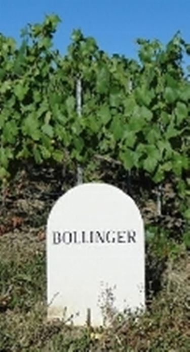 champagne bollinger prezzi2